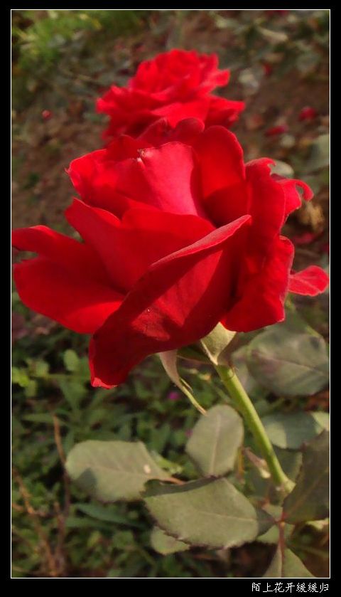 DSC04590.JPG