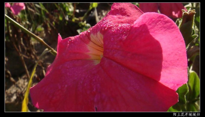 DSC04632.JPG