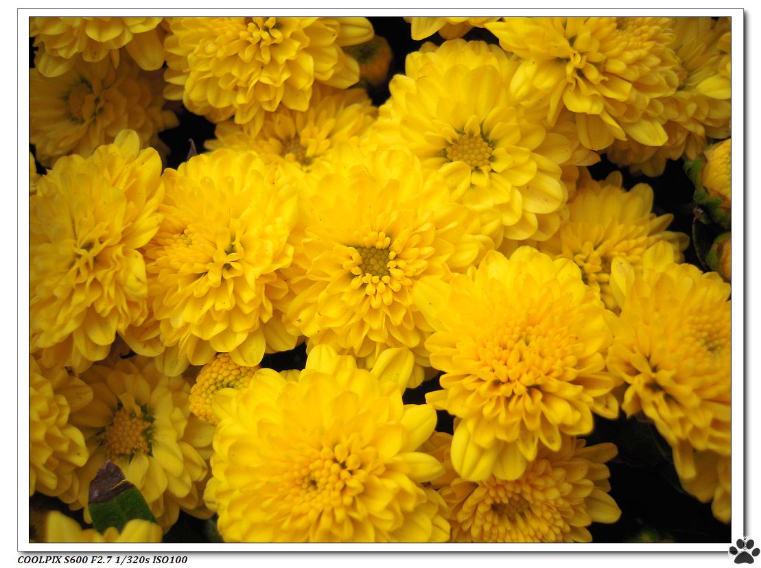 DSCN2853.JPG