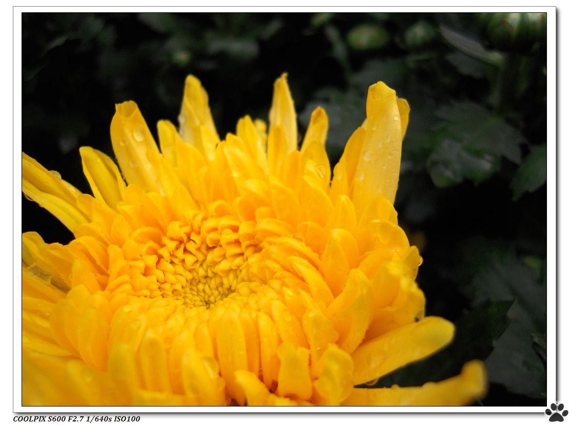 DSCN2848.JPG