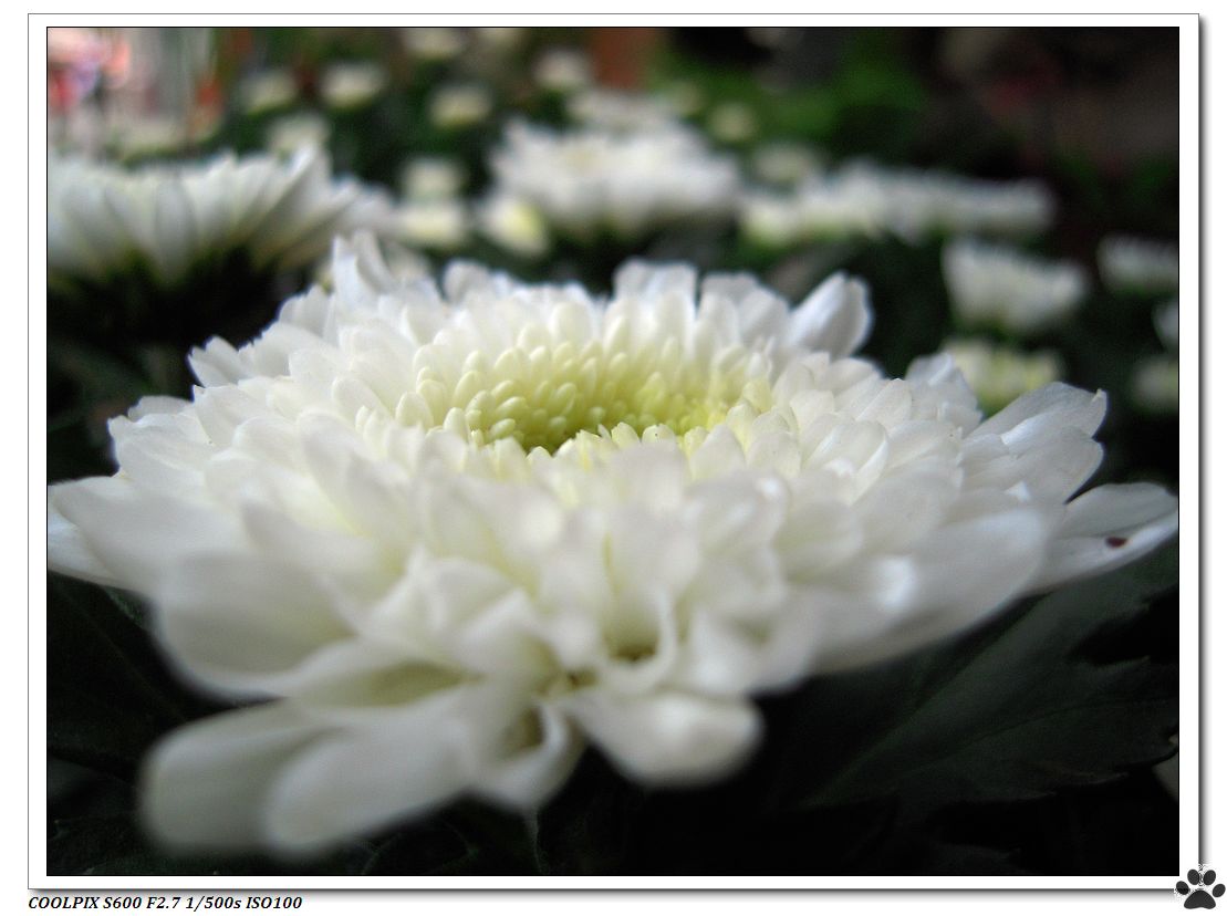 DSCN2834.JPG