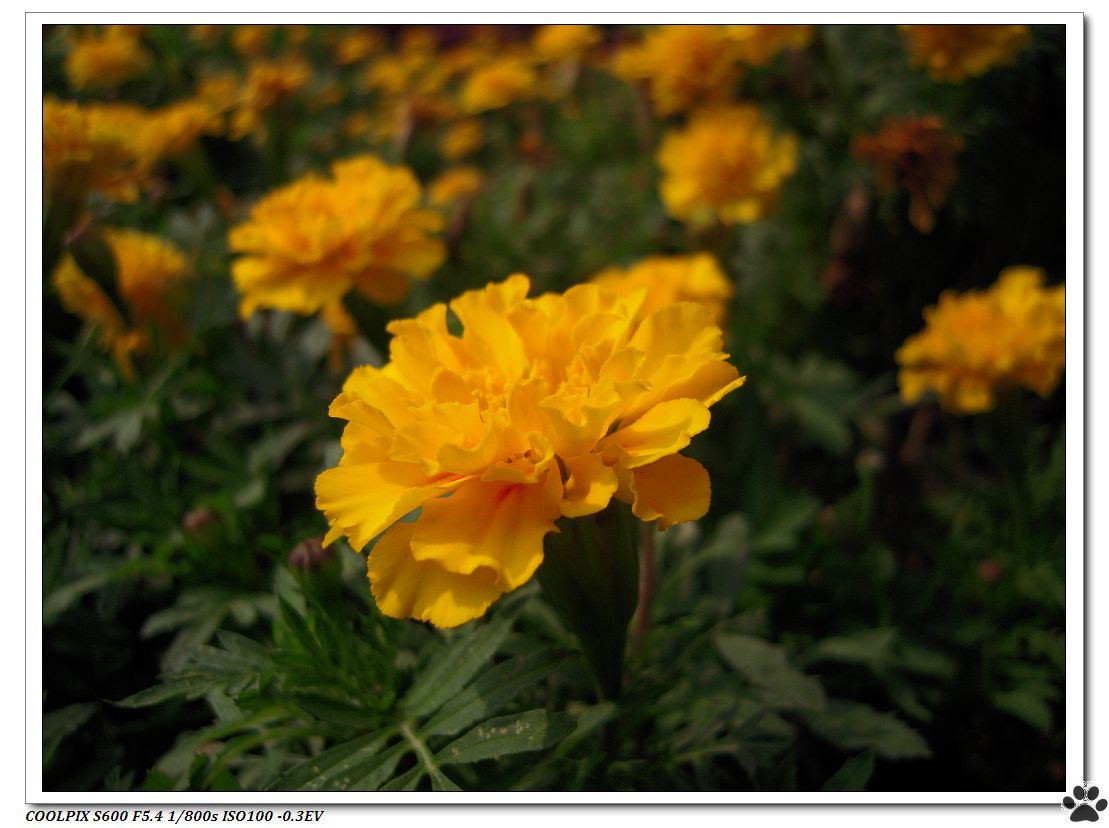 DSCN2830.JPG