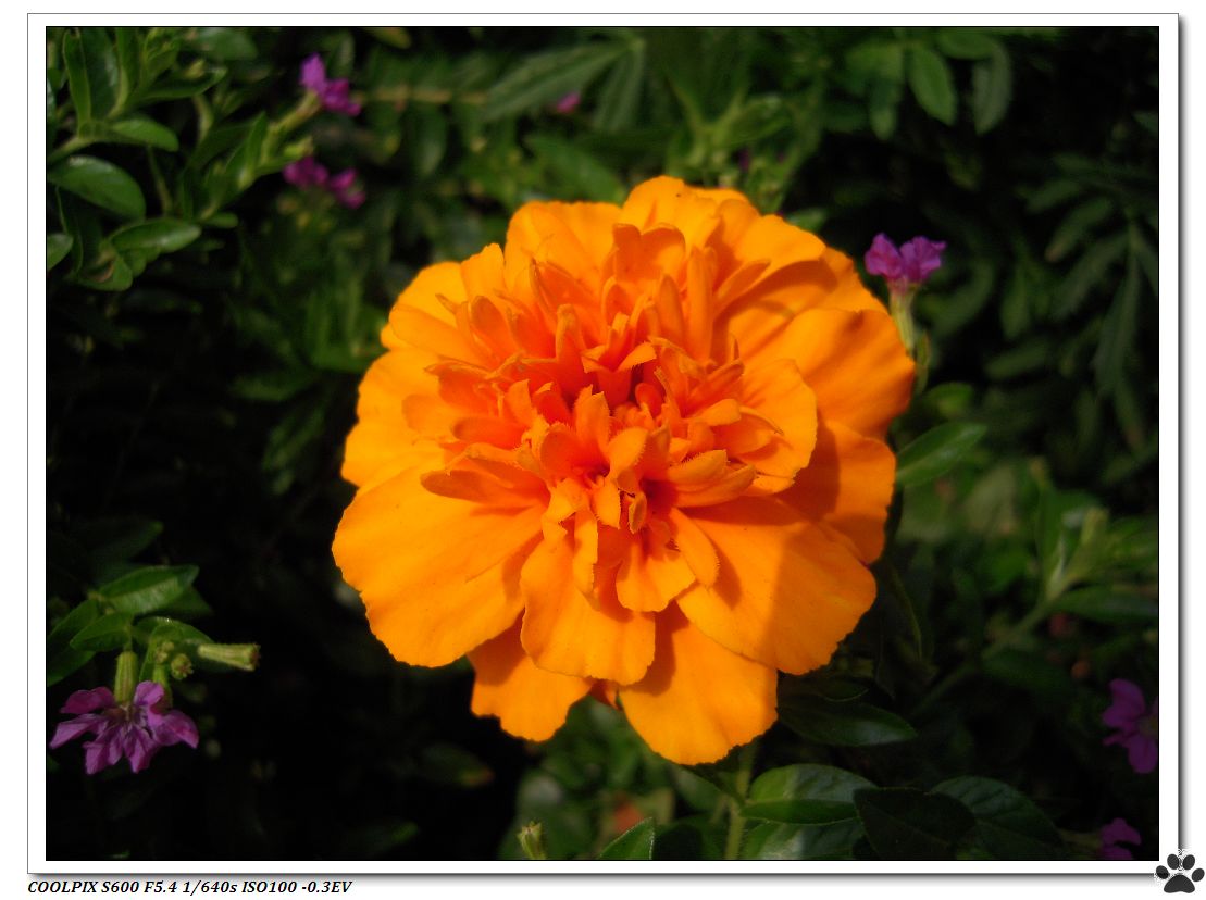 DSCN2824.JPG