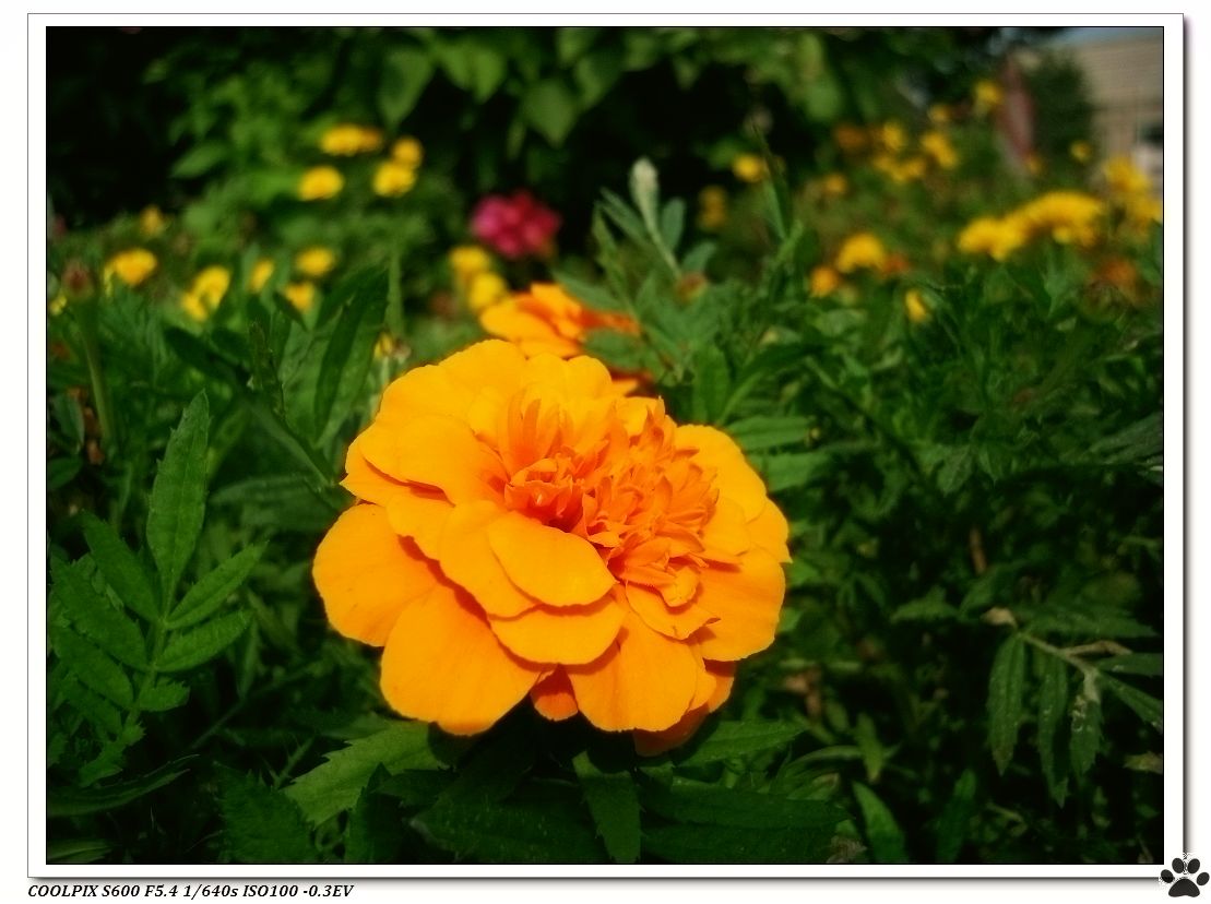 DSCN2829.JPG