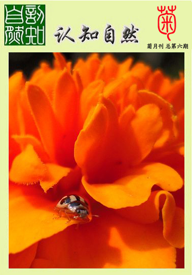 s3副本5555.jpg