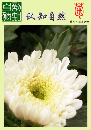 s3副本44.jpg