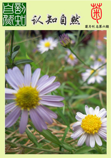 s3副本77.jpg