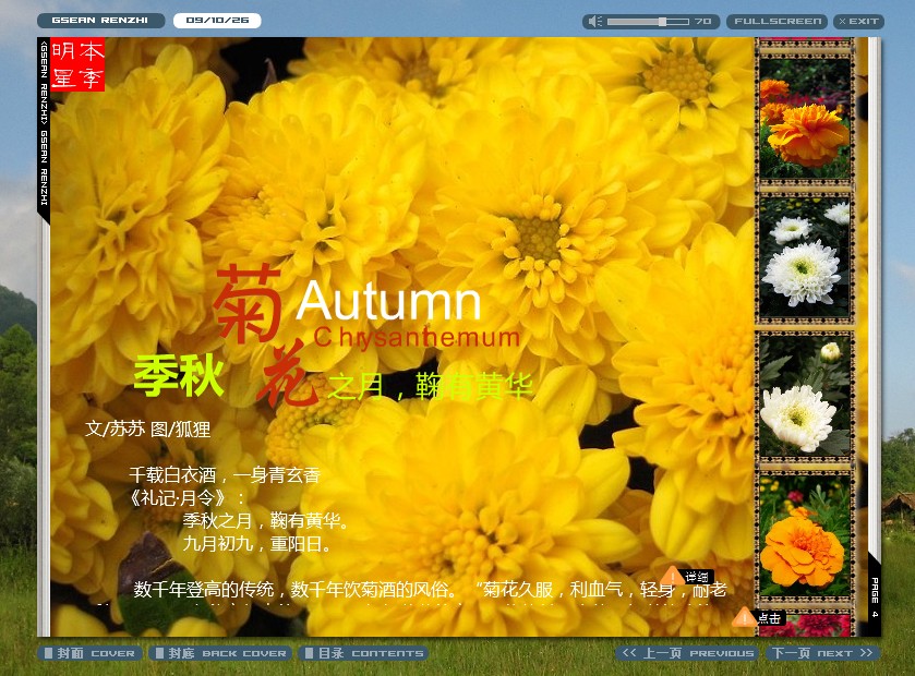 秋菊.jpg