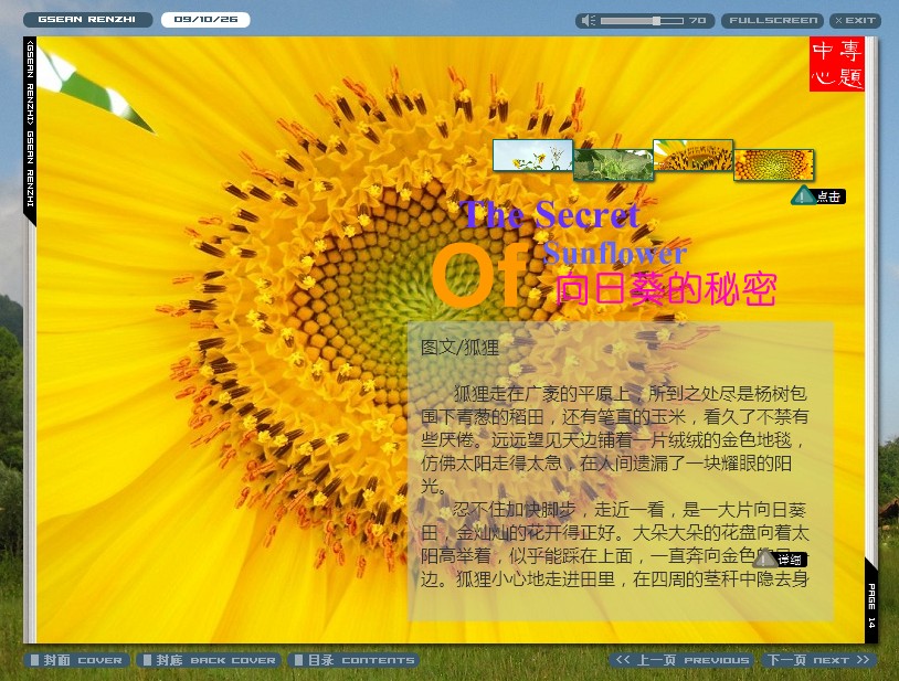 葵.jpg