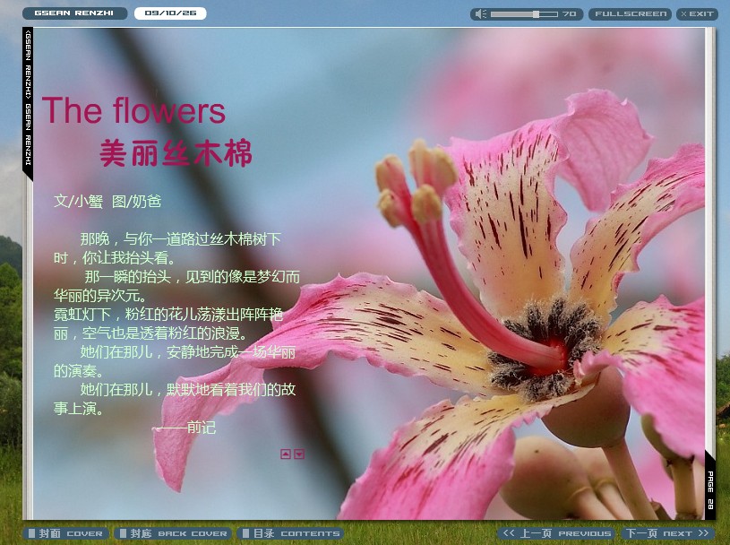 丝木棉.jpg