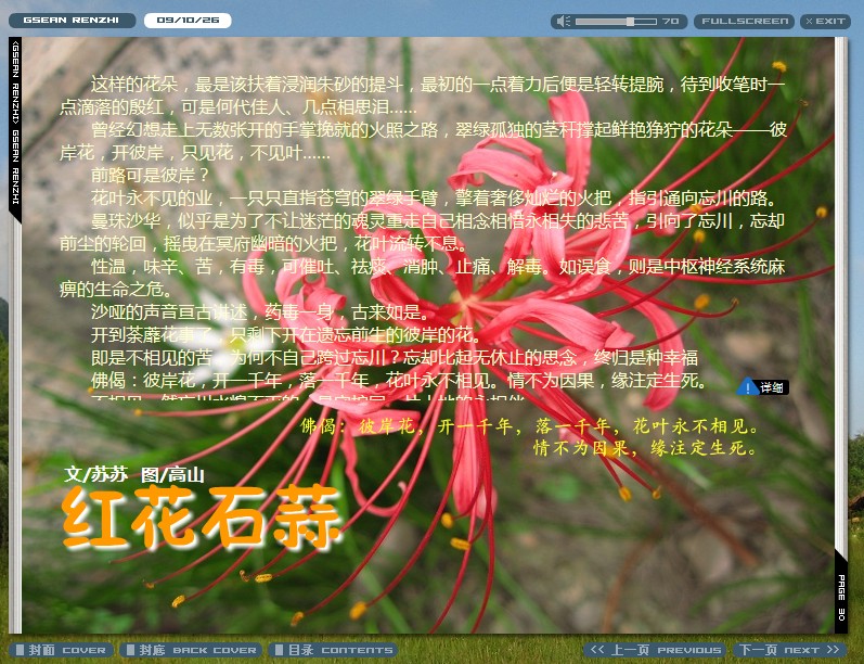 红花石蒜.jpg