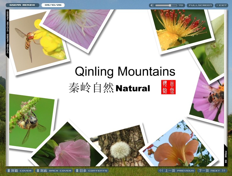 秦巅.jpg