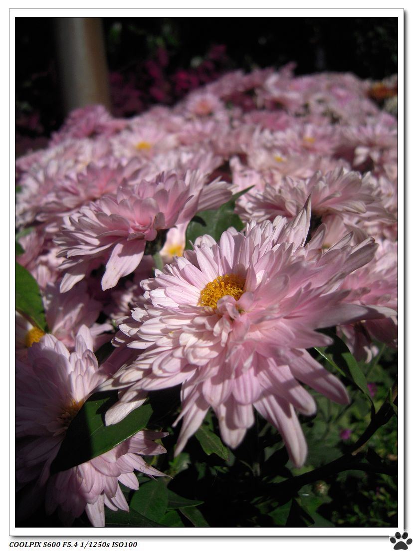 DSCN2962.JPG