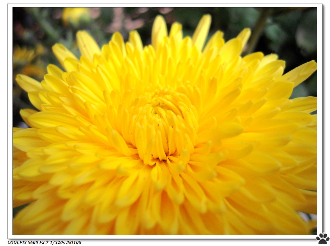 DSCN2950.JPG