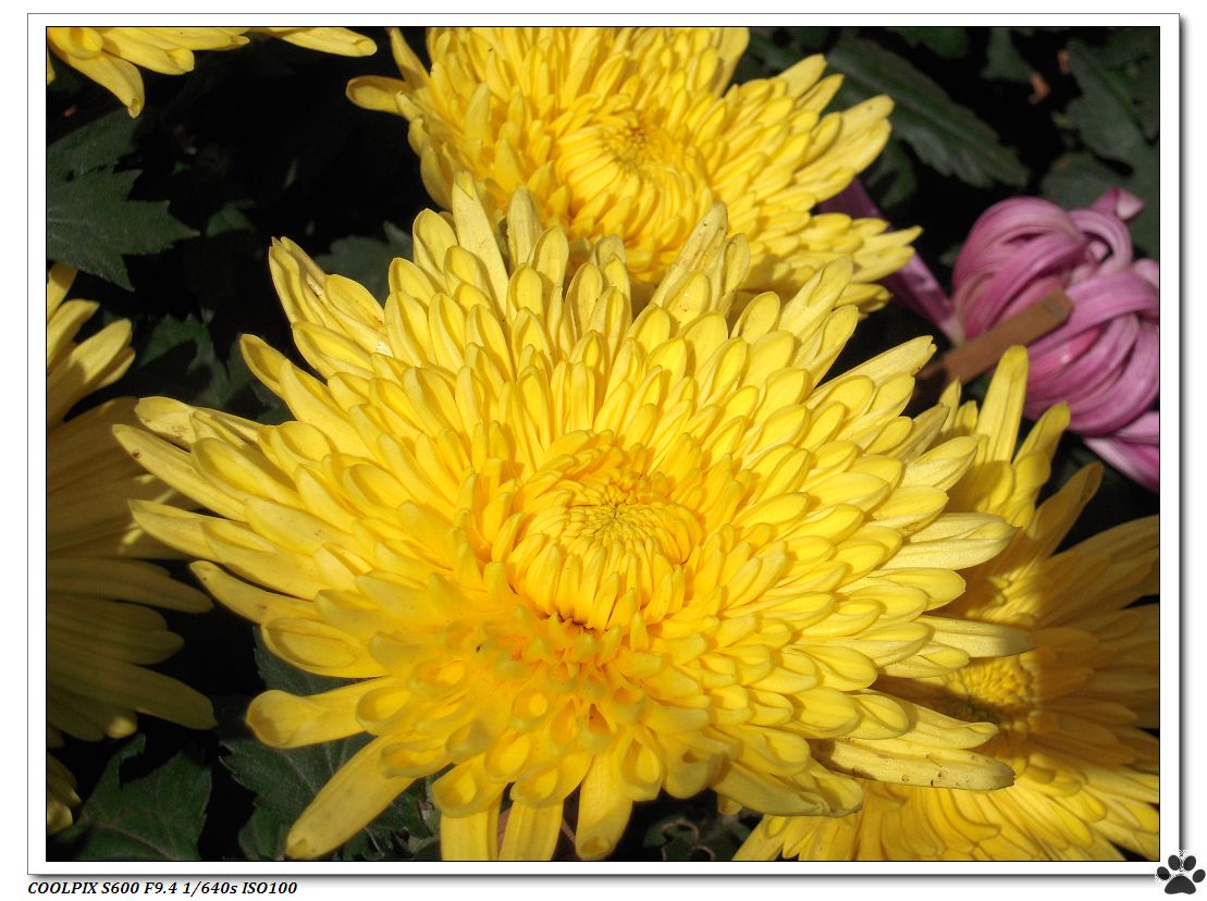 DSCN2956.JPG
