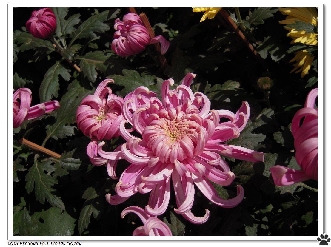 DSCN2963.JPG
