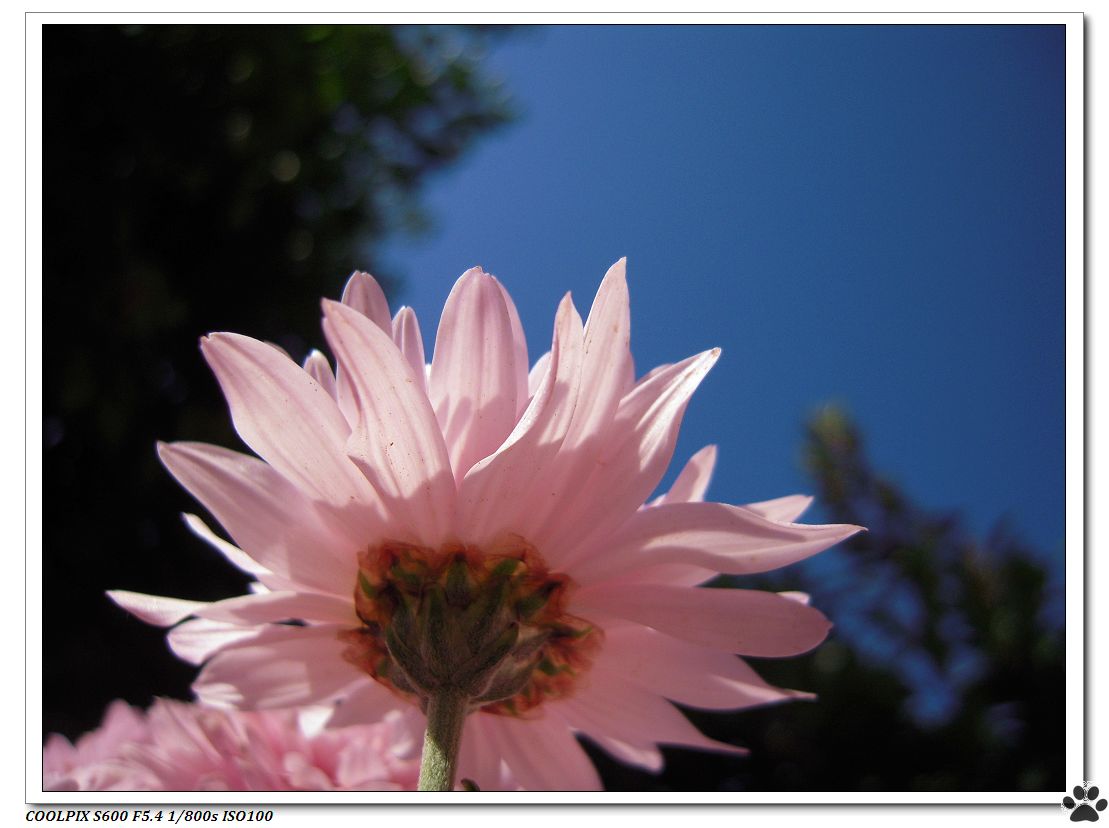 DSCN3022.JPG