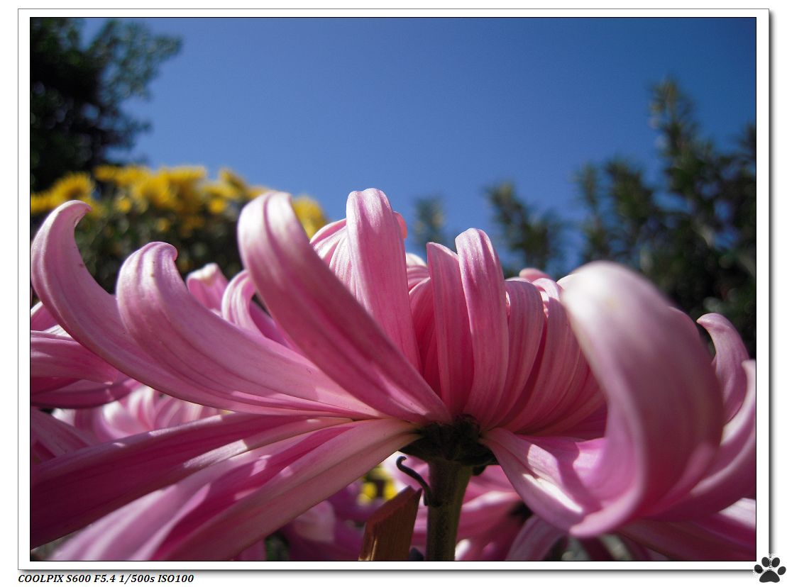 DSCN3024.JPG