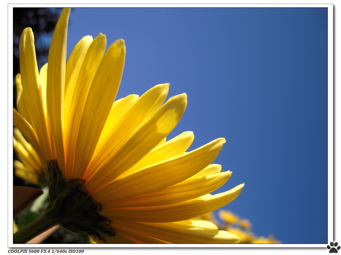 DSCN3017.JPG