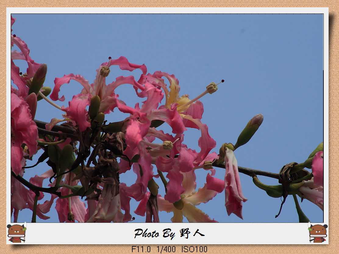 IMG_5963.jpg