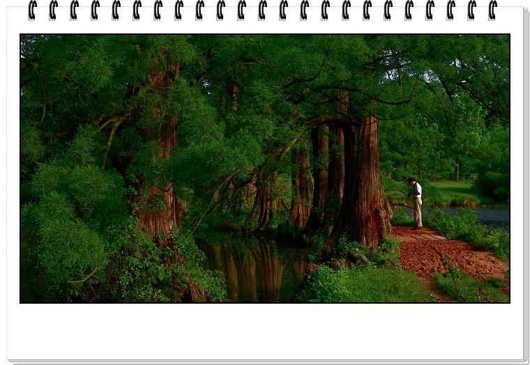 20080730_8c6ef84db32a6dbd5bacoOngEiHJmEku.jpg