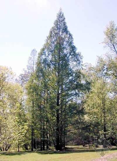 2006041410473556_7.jpg