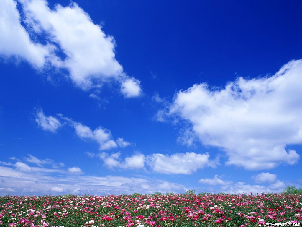 line_110221.jpg