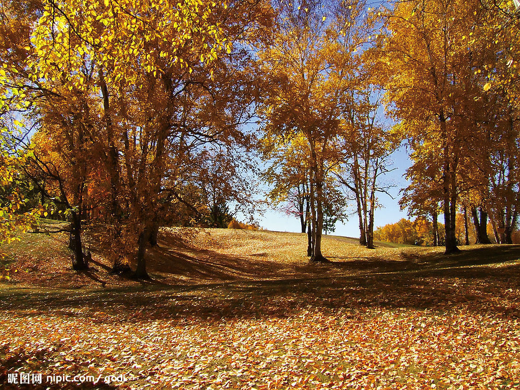 2008116135130731_2.jpg
