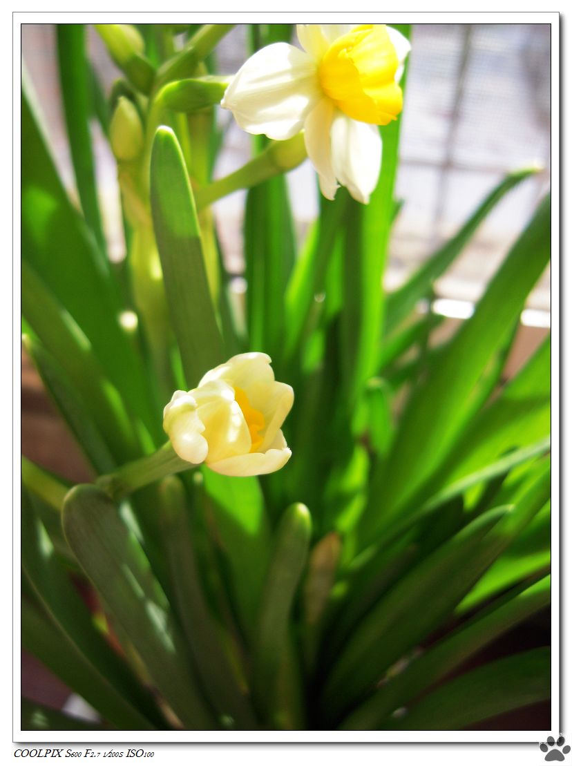 DSCN3238.JPG
