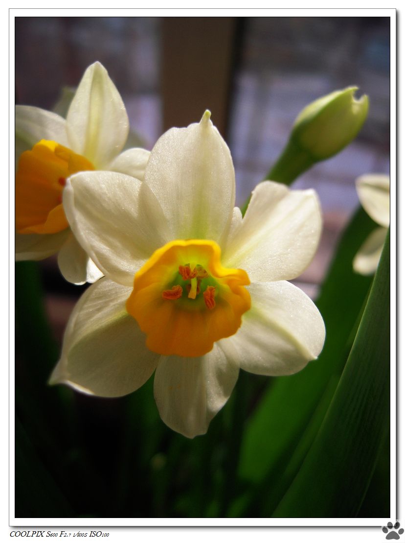 DSCN3237.JPG