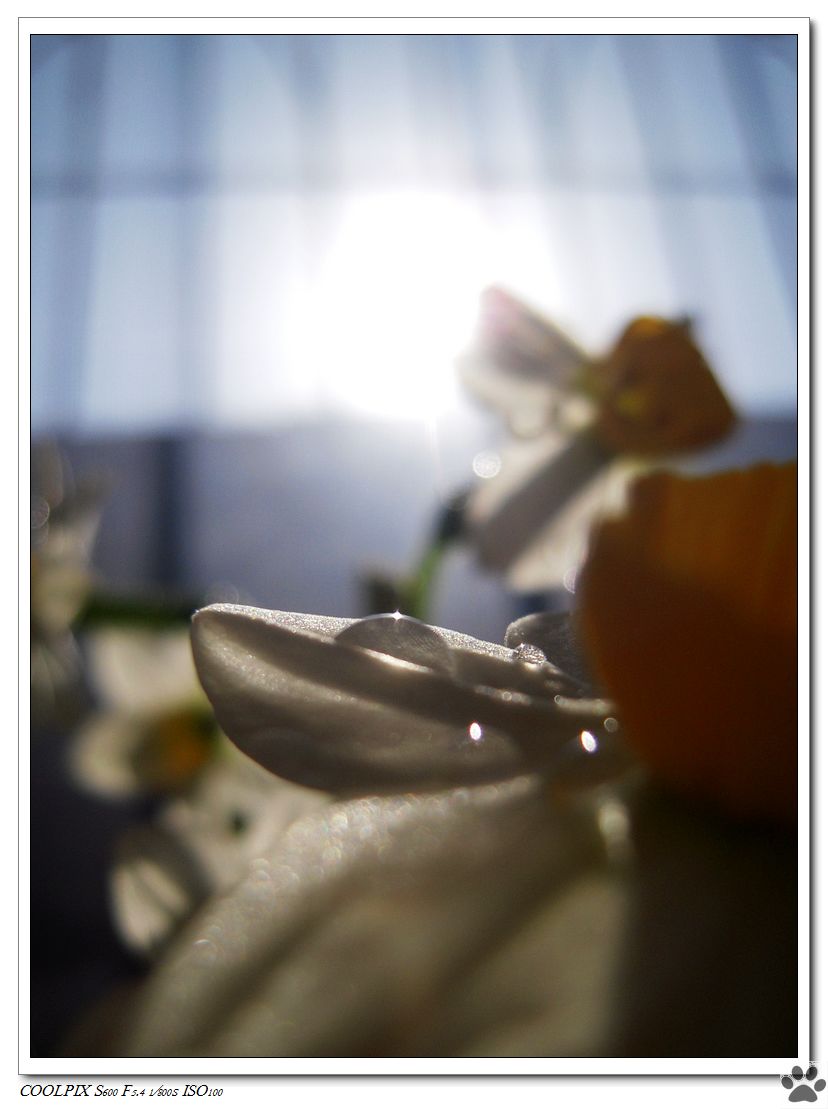 DSCN3242.JPG