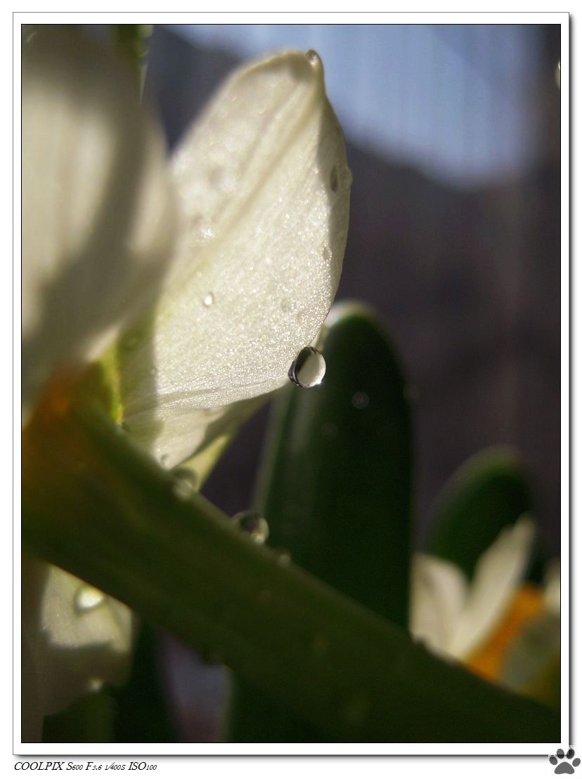 DSCN3240.JPG