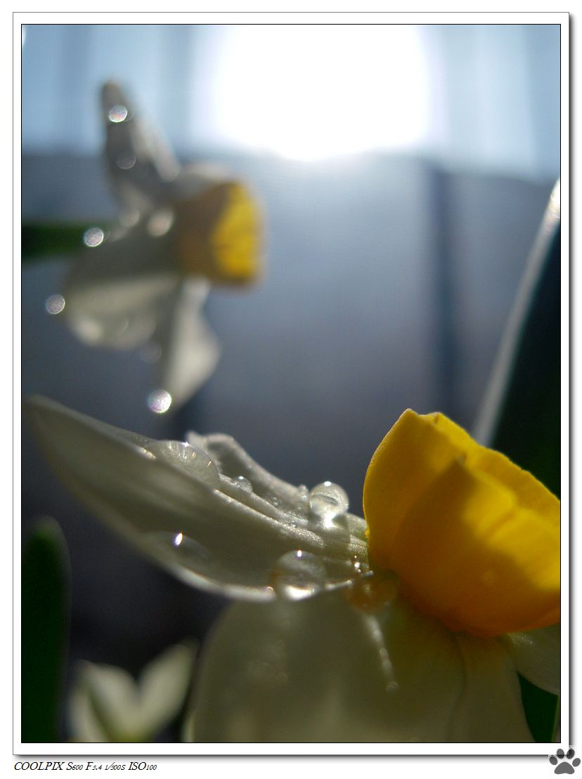 DSCN3244.JPG
