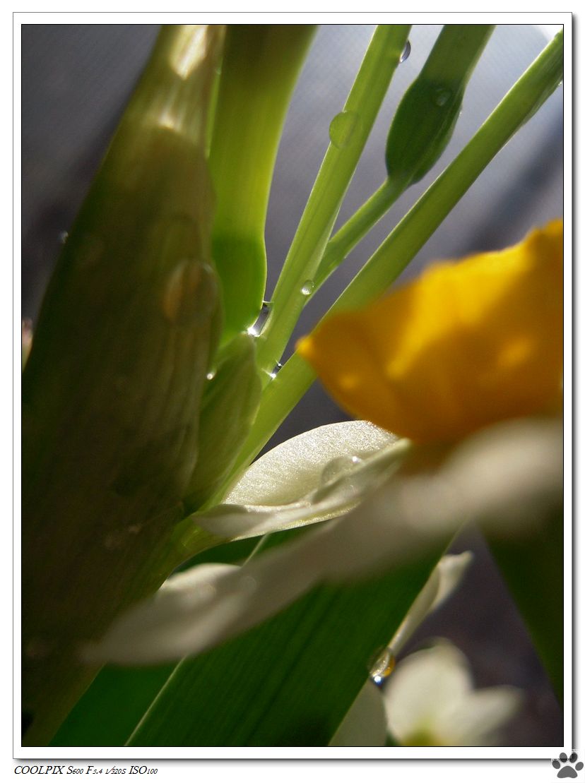 DSCN3249.JPG
