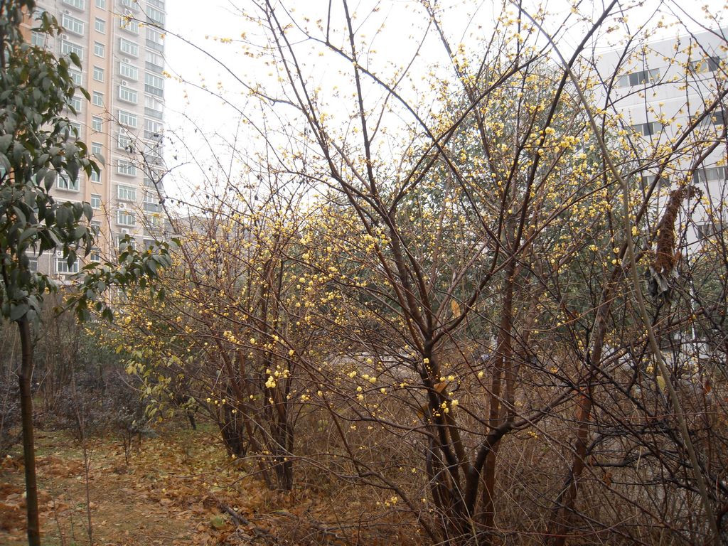 DSCN3164.JPG