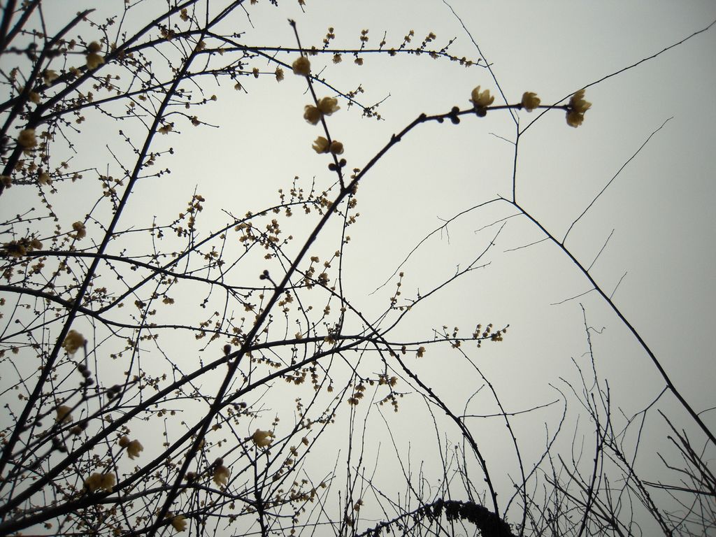 DSCN3165.JPG