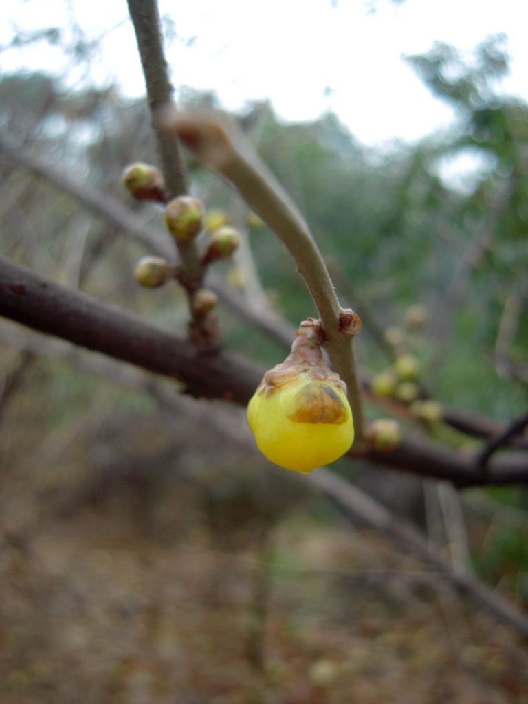 DSCN3148.JPG
