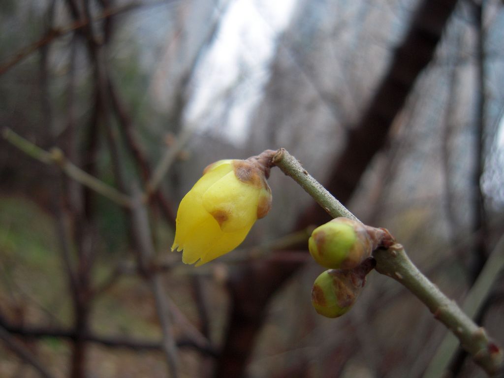 DSCN3143.JPG
