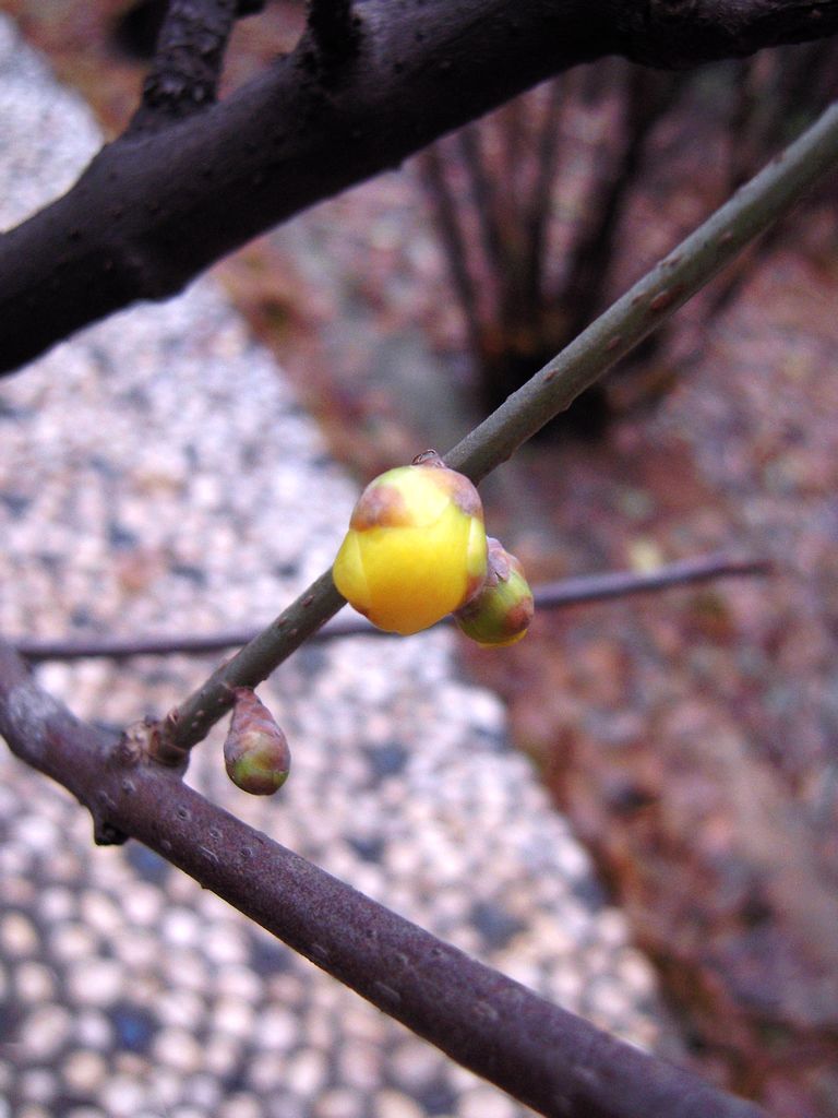 DSCN3142.JPG