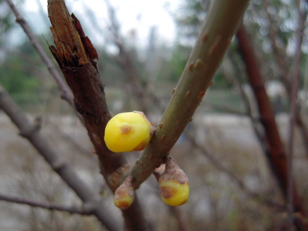DSCN3144.JPG