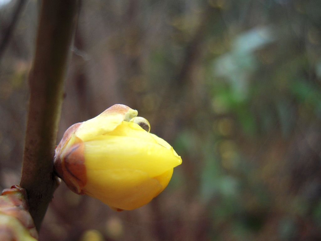 DSCN3151.JPG