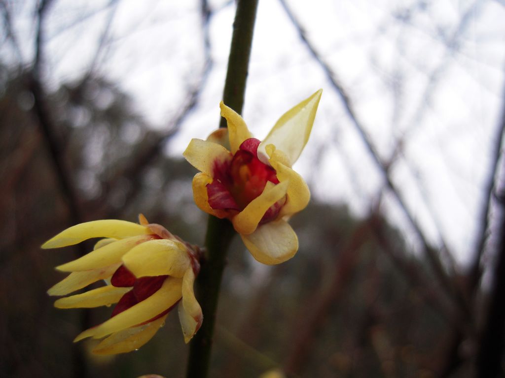 DSCN3155.JPG