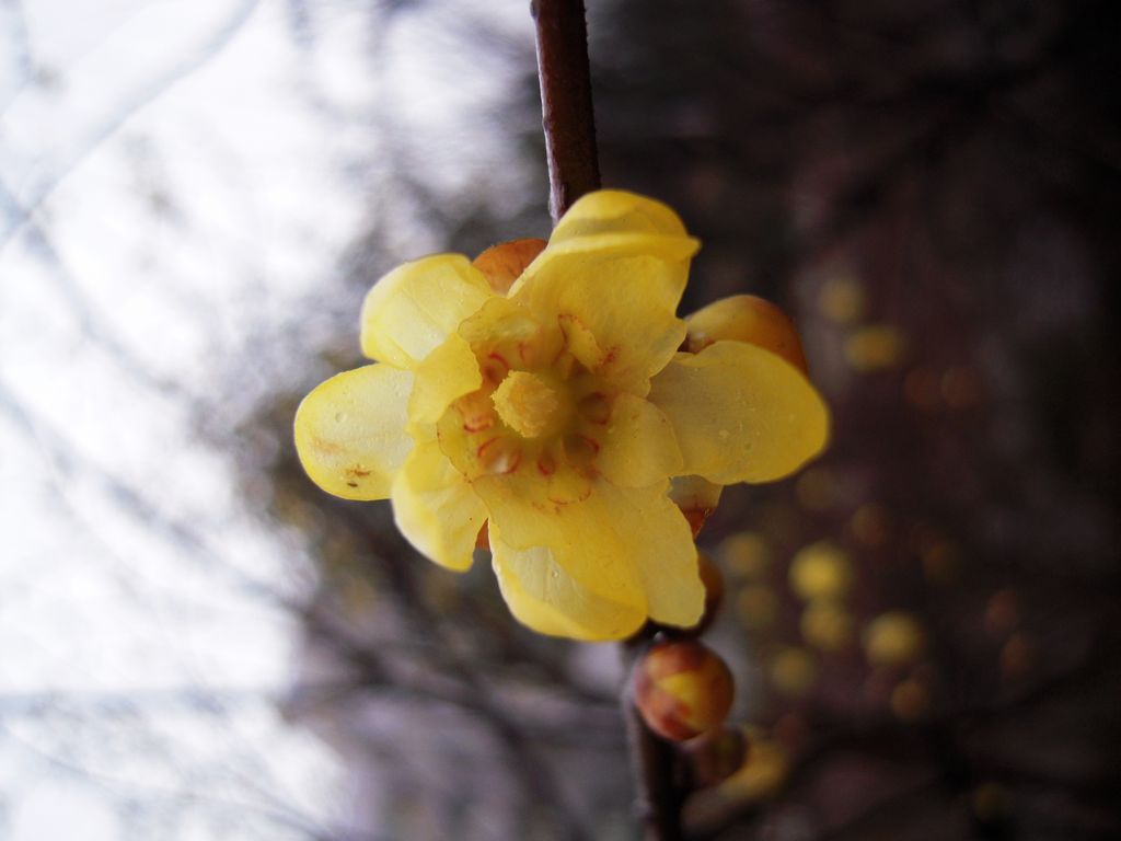 DSCN3162.JPG