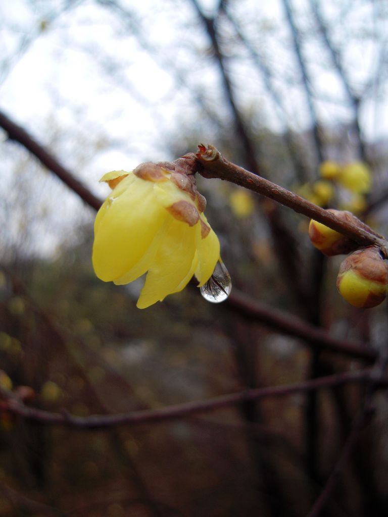 DSCN3163.JPG