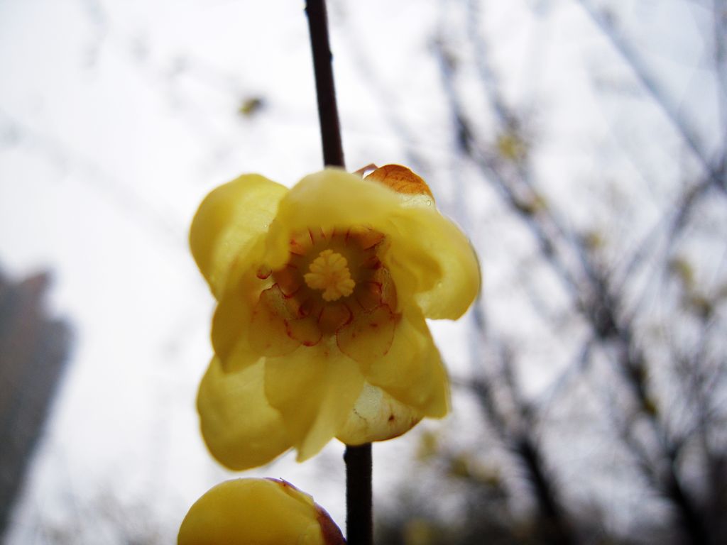 DSCN3160.JPG