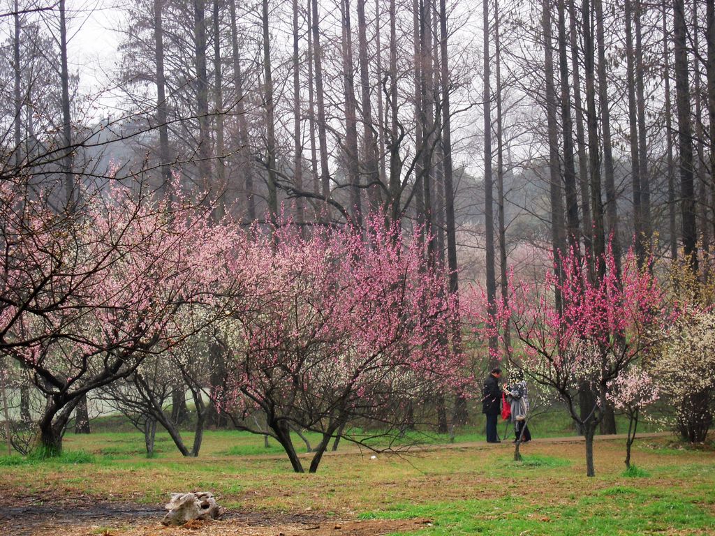 DSCN3266.JPG