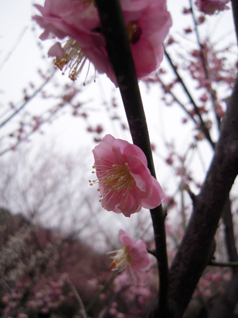 DSCN3260.JPG