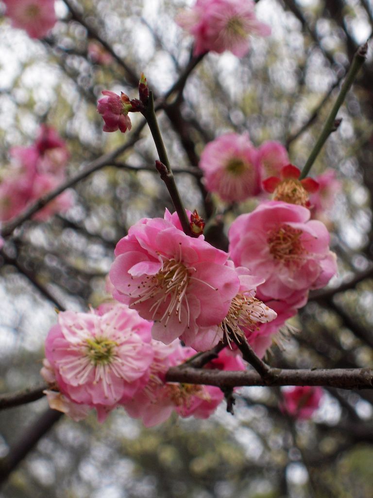 DSCN3263.JPG