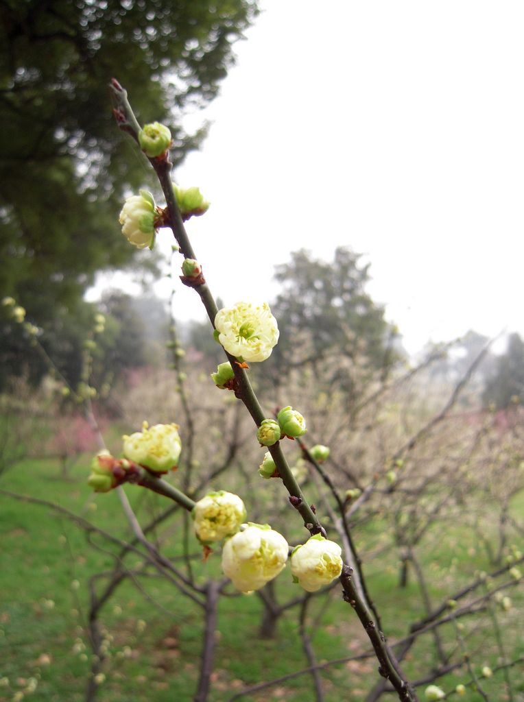 DSCN3262.JPG