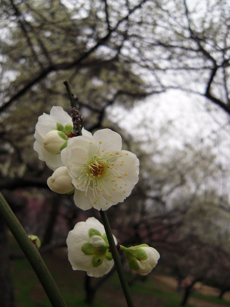 DSCN3264.JPG